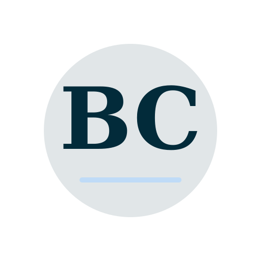 Buck Chimney Repair logo